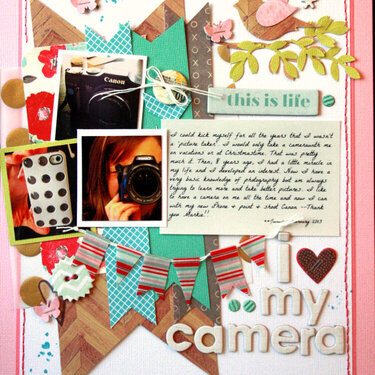 HIP KIT CLUB - January 2013 Kit - My Camera Layout