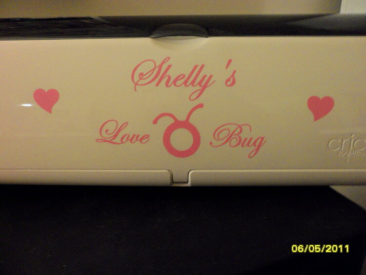 Shelly&#039;s Love Bug