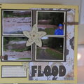 Flood of 2010