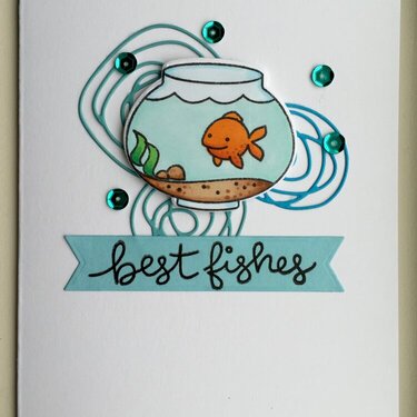 Best Fishes - CTS#141