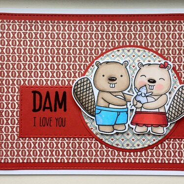Dam, I Love You - PP378