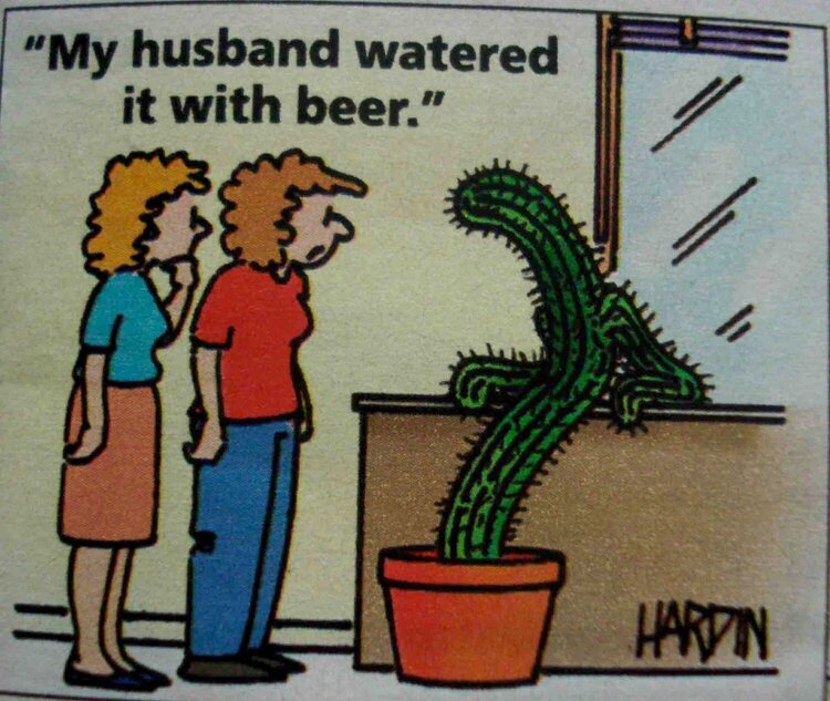 Beer Cactus