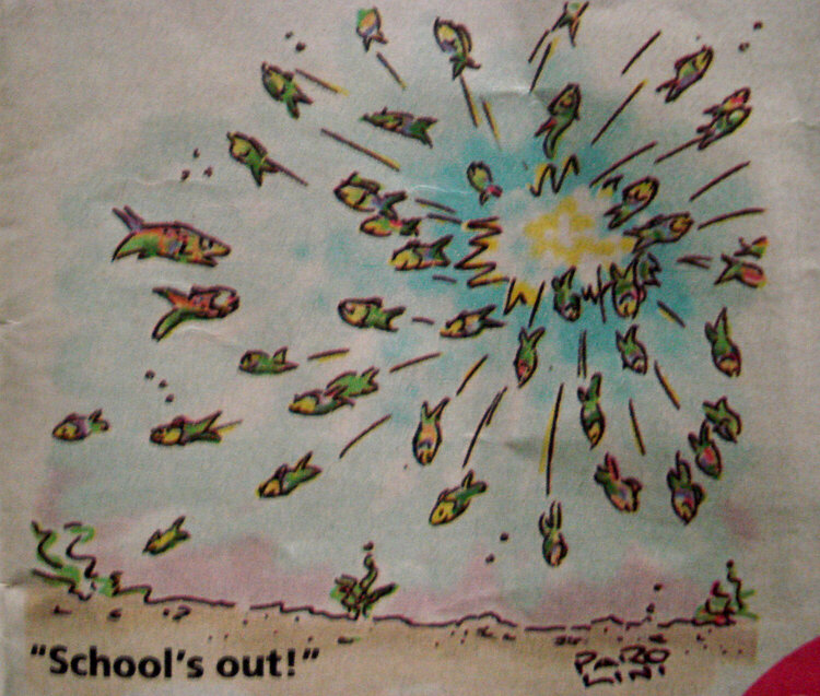 School&#039;s Out...!!
