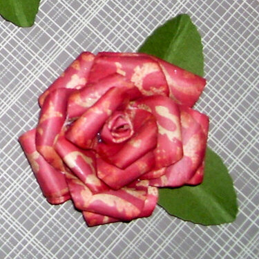 Brick-redish rose... for flower swap.