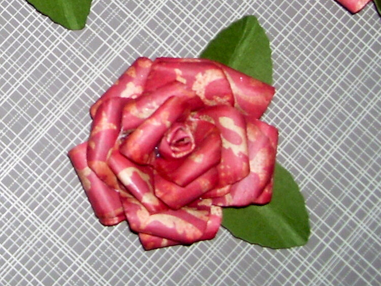 Brick-redish rose... for flower swap.