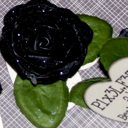 Black roses for Linn&#039;s flower swap detail shot