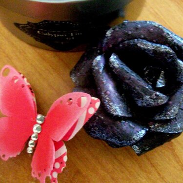 Black Rose and a Butterfly.