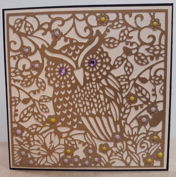 Amethyst Eyed Owl Card