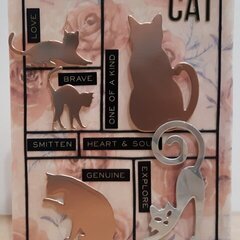 CAT Card