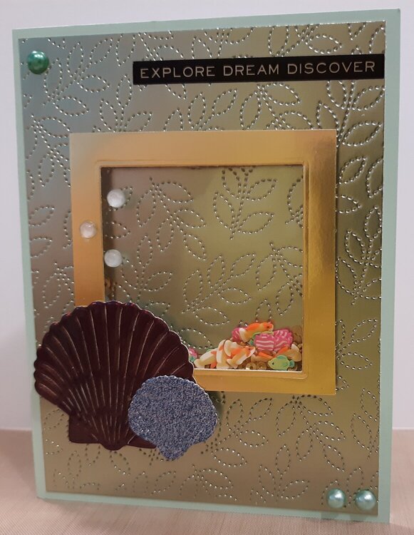 Explore Dream Discover Shaker Card