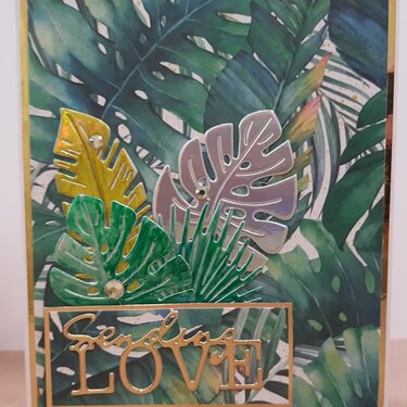 Palm Fronds Card