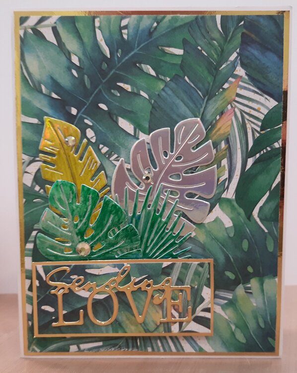Palm Fronds Card