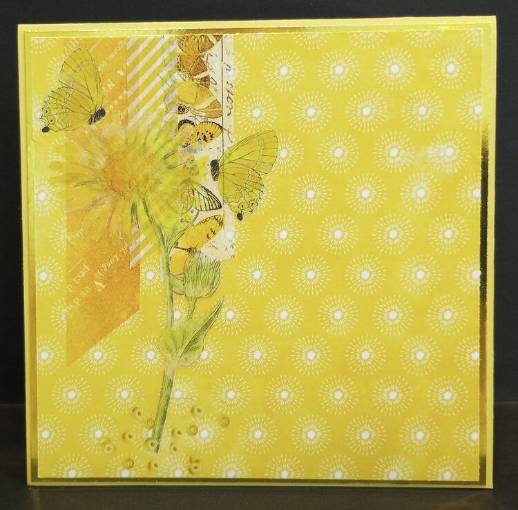 Yellow Flower on Yellow
