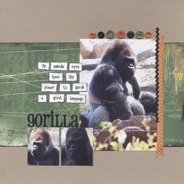 Gorilla-Zoo