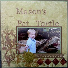 Mason's Pet Turtle