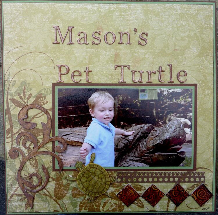 Mason&#039;s Pet Turtle
