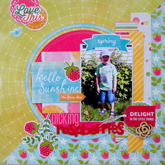 Picking Raspberries  **My Creative Scrapbook**