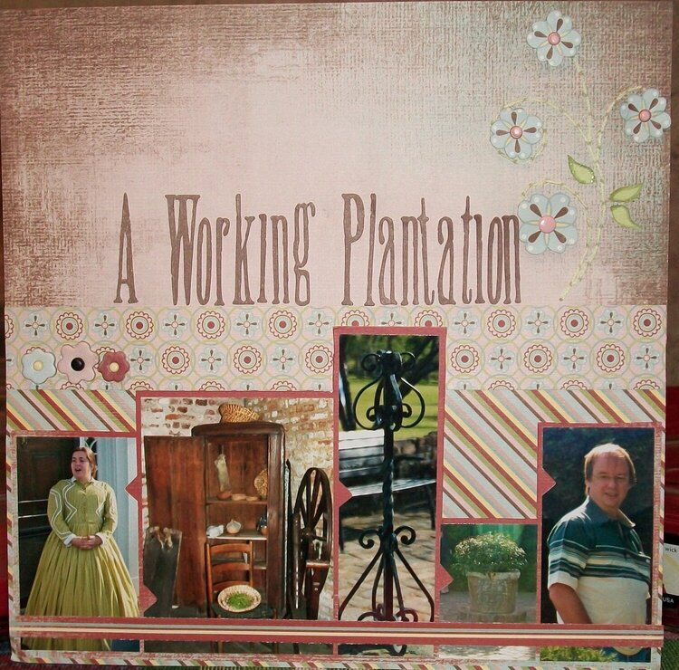 A Working Plantation