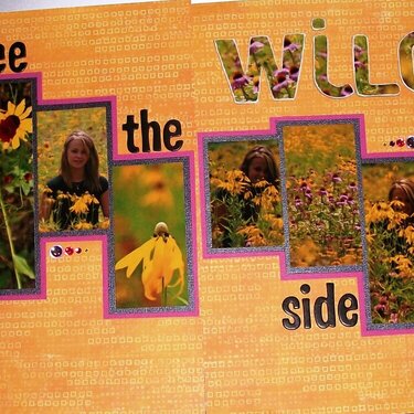 See the Wild Side