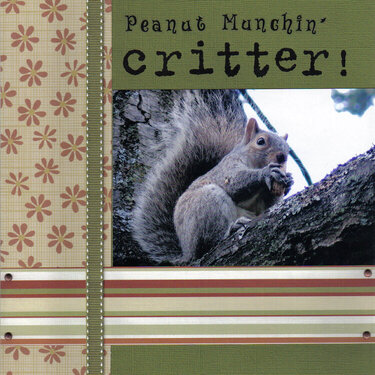 Peanut Munchin&#039; Critter!