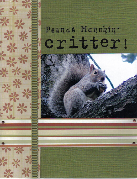 Peanut Munchin&#039; Critter!