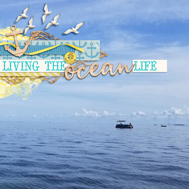 Living the Ocean Life