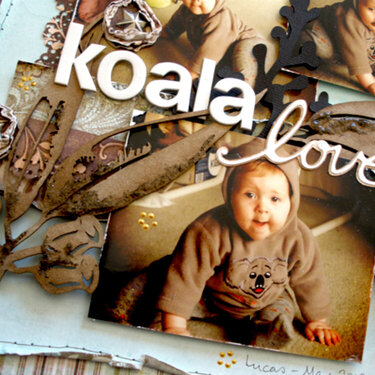 koala love detail2