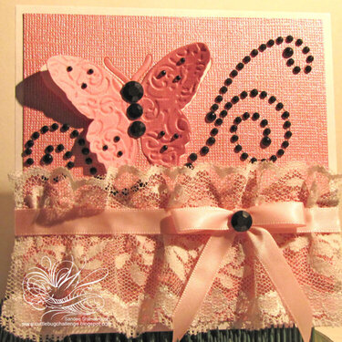Pink Butterfly, White Lace