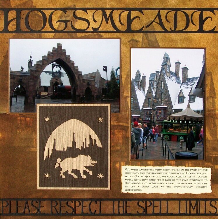 Wizarding World of Harry Potter - Hogsmeade Streets (1)