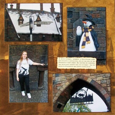 Wizarding World of Harry Potter - Hogsmeade Streets (2)