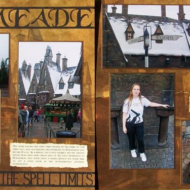 Wizarding World of Harry Potter - Hogsmeade Streets