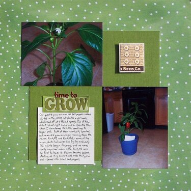 Time to Grow (NSD 2011 Challenge: A Handwritten Note)