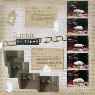 Rabbit Defined