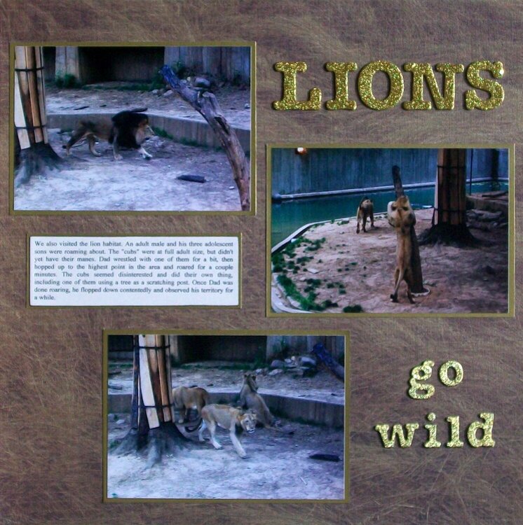 Washington DC 2012 - Page 51 - National Zoo: Lions
