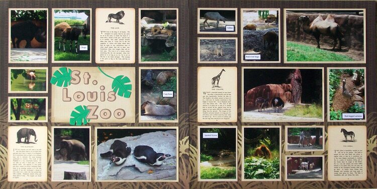 St. Louis 2013 - Zoo Intro