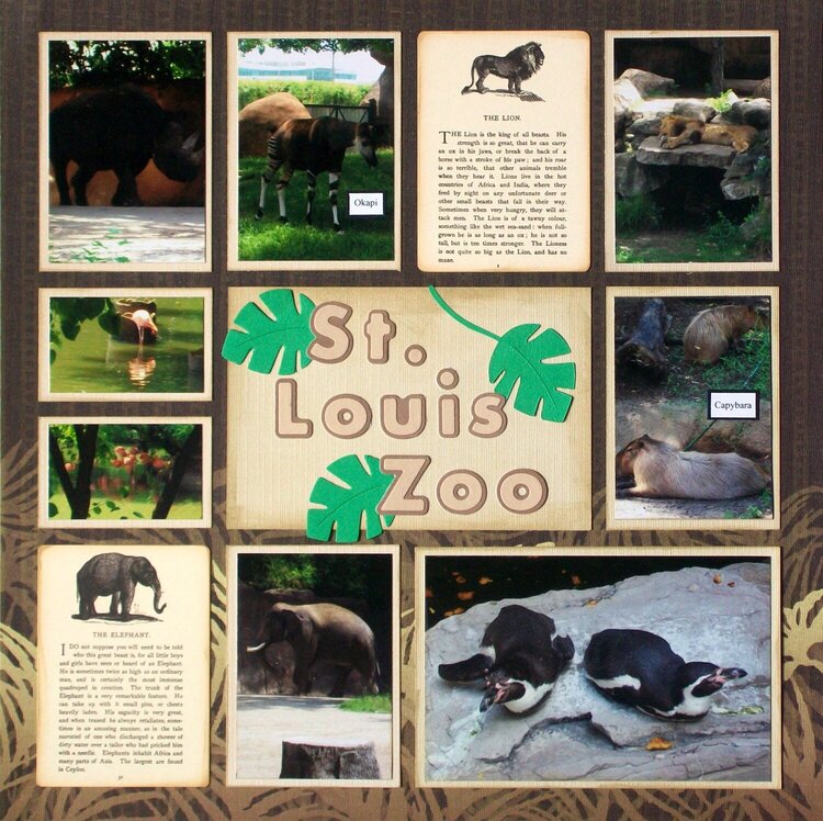 St. Louis 2013 - Zoo Intro, page 1