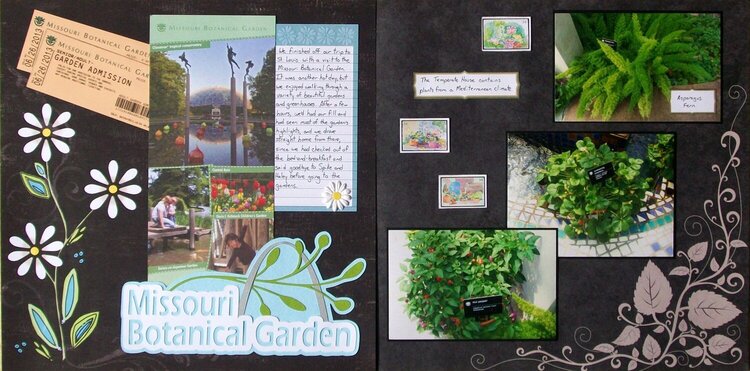 St. Louis 2013 - Botanical Garden Intro