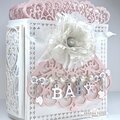 Baby Girl Mini ALbum