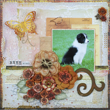 *June ScrapThat Reveal* Tracey S