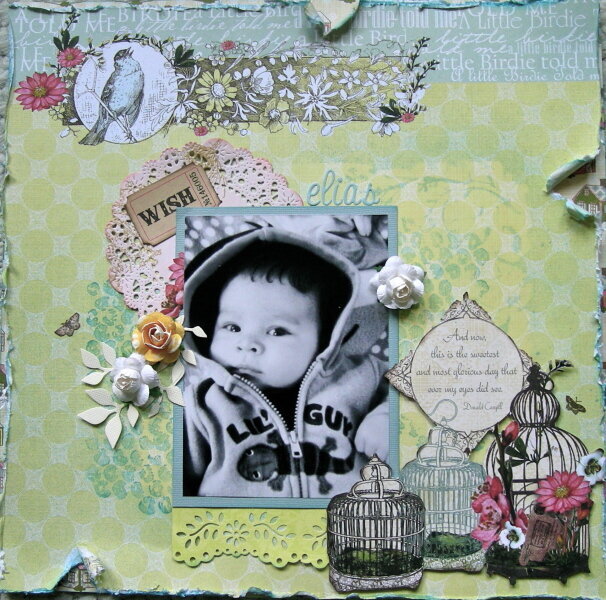 ScrapThat! June Kit &quot;Life&#039;s Muse&quot; By: Sandi Clarkson