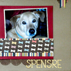 Spensre