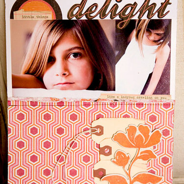 delight by Becky Novacek