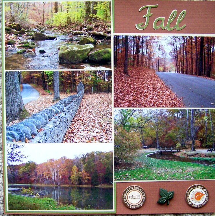 A fall walk