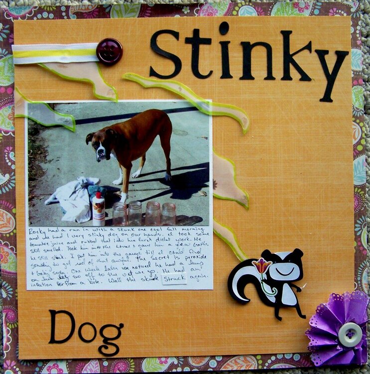 Stinky dog