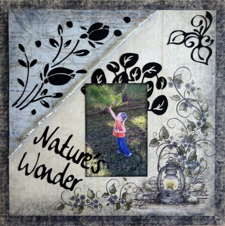 Nature&#039;s Wonder