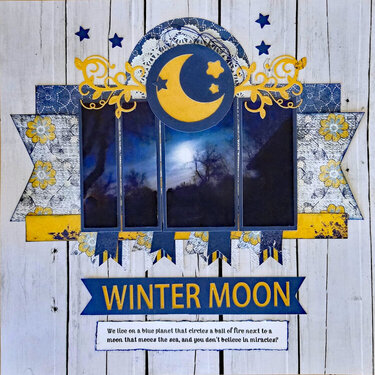 Winter Moon - 9/52