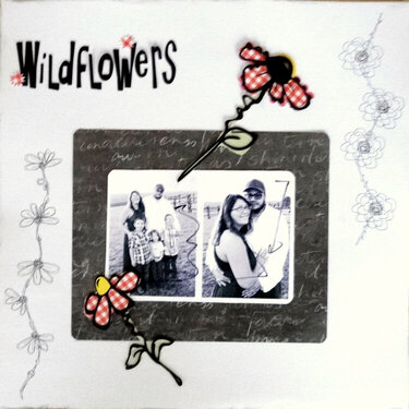 Wildflowers - 19/52