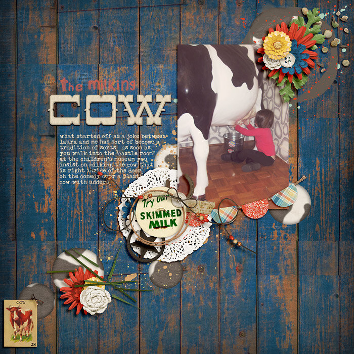 the milking cow