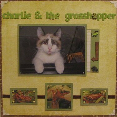charlie and the grasshopper