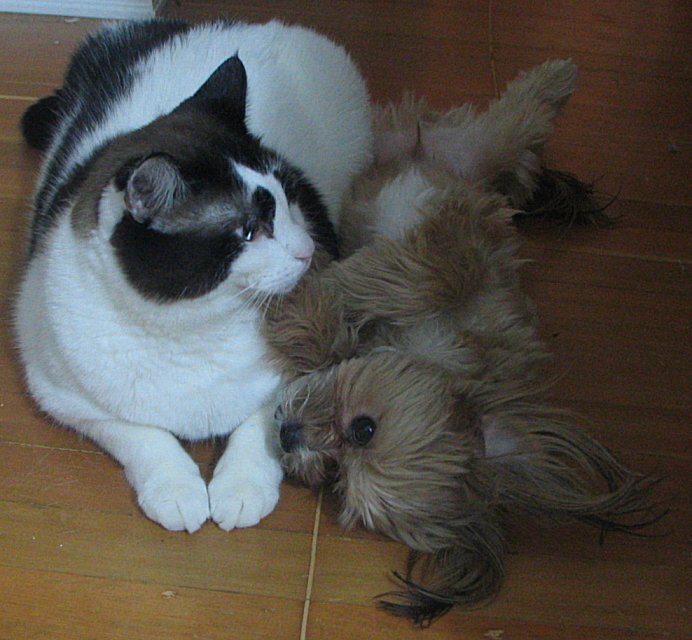 POD#1 - Lets snuggle!